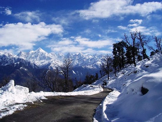chopta tour package